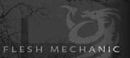 logo Flesh Mechanic